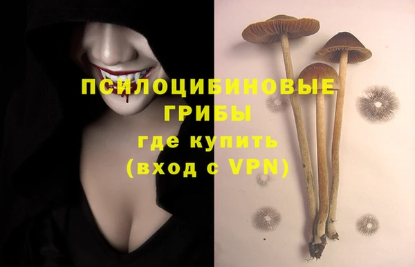 мдма Козловка