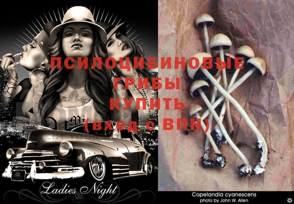 мяу мяу кристалл Козельск
